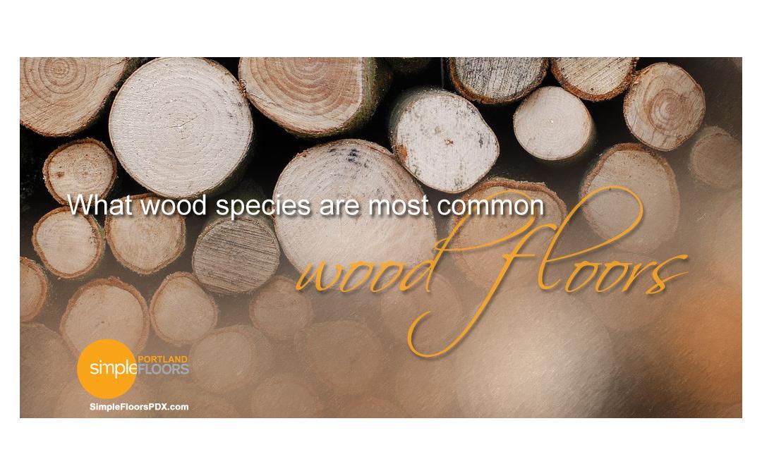 Popular species of wood for hardwood floors