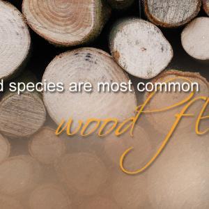 Popular species of wood for hardwood floors