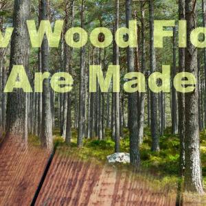 We answer how is wood flooring made and how is bamboo flooring made
