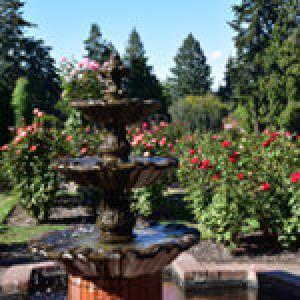 Rose Garden Fountain in PDX