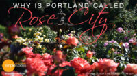 Portland – Why It’s The Rose City