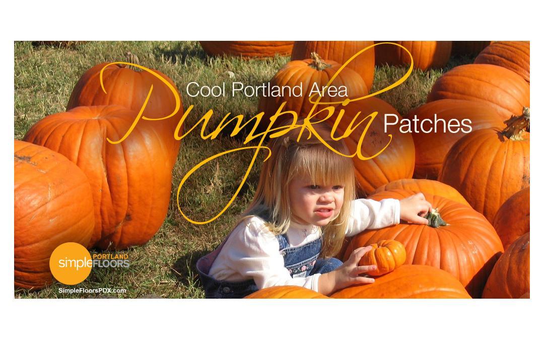 the best pumpkin patches around Portland
