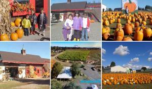 Boring Oregon Pumpkin Patch Liepold Farms