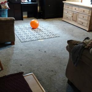 replaced old carpet in Vancouver Wa
