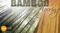 Bamboo Floors – Everything You Need To Know
