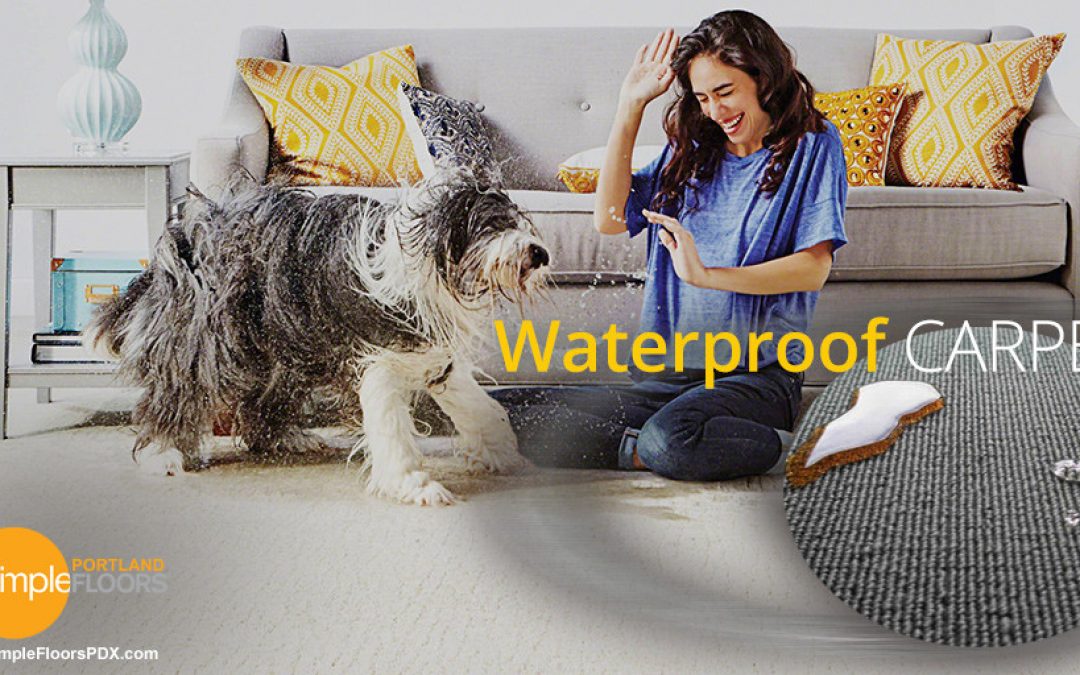 A Carpet That Is 100% Waterproof