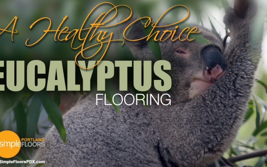 Why Eucalyptus Flooring Is A Healthy Choice