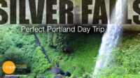 Silver Falls – A Perfect Day Trip From Portland