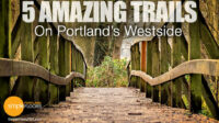 Portland’s Westside: 5 Trails To Help You Reset