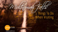 5 Things To Do When Visiting Multnomah Falls