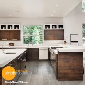 clean lines - Portland kitchen remodel