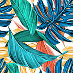 Tropical and Palm Graphics