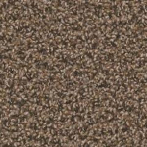 Zion River Carpet by Tas Flooring