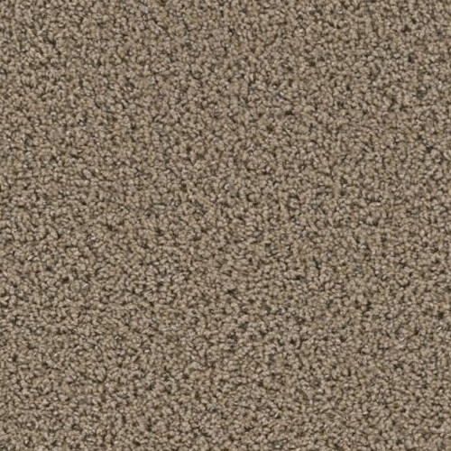 Yellowstone Caldera Carpeting by TAS Flooring