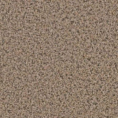 Yellowstone Clovis Carpeting by TAS Flooring