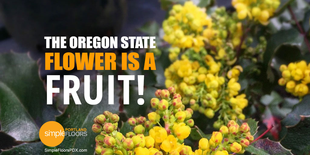 The Oregon state flower is a fruit