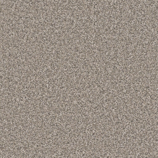 Carpet PDX